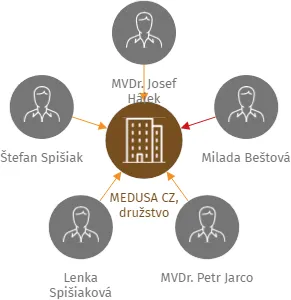 MEDUSA CZ, družstvo, IČO: 29196795: vizualizace vztahů osob a společností