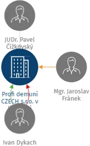 Profi demuni CZECH s.r.o. v likvidaci, IČO: 29238935: vizualizace vztahů osob a společností