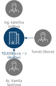TELEOB s.r.o. - v likvidaci, IČO: 29239117: vizualizace vztahů osob a společností