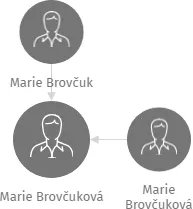 Vizualizace vztahů osob a společností - Marie Brovčuková