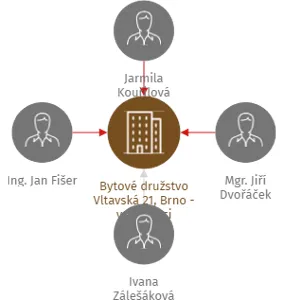 Bytové družstvo Vltavská 21, Brno - v likvidaci, IČO: 29311012: vizualizace vztahů osob a společností