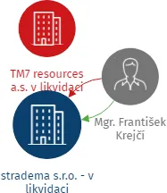 stradema s.r.o. - v likvidaci, IČO: 29357543: vizualizace vztahů osob a společností