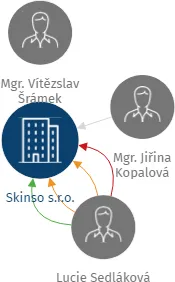 Skinso s.r.o., IČO: 29368537: vizualizace vztahů osob a společností