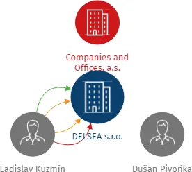 Vizualizace vztahů osob a společností - DELSEA s.r.o.