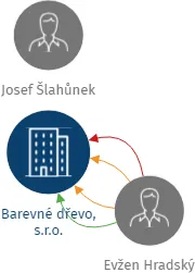 Barevné dřevo, s.r.o., IČO: 29368898: vizualizace vztahů osob a společností