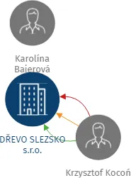 DŘEVO SLEZSKO s.r.o., IČO: 29378567: vizualizace vztahů osob a společností