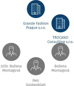 WAP Immobilien s.r.o., IČO: 29413729: vizualizace vztahů osob a společností