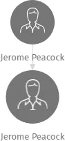 Jerome Peacock, IČO: 45754250: vizualizace vztahů osob a společností