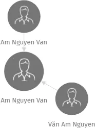 Am Nguyen Van, IČO: 46011960: vizualizace vztahů osob a společností