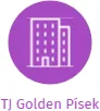 TJ Golden Písek, IČO: 46665404: vizualizace vztahů osob a společností