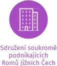 Sdružení soukromě podnikajících Romů Jižních Čech, IČO: 47224916: vizualizace vztahů osob a společností