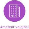Amateur volejbal, IČO: 47324902: vizualizace vztahů osob a společností