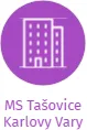 MS Tašovice Karlovy Vary, IČO: 47696508: vizualizace vztahů osob a společností