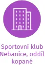 Sportovní klub Nebanice, oddíl kopané, IČO: 47722967: vizualizace vztahů osob a společností