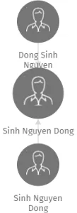 Sinh Nguyen Dong, IČO: 48270784: vizualizace vztahů osob a společností