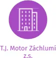 T.J. Motor Záchlumí z.s., IČO: 48324388: vizualizace vztahů osob a společností