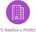 TJ Nezdice u Přeštic, IČO: 48353451: vizualizace vztahů osob a společností