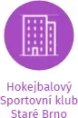 Hokejbalový Sportovní klub Staré Brno, IČO: 48513521: vizualizace vztahů osob a společností