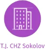 T.J. CHZ Sokolov, IČO: 49163736: vizualizace vztahů osob a společností