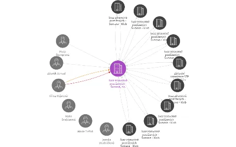 Svaz zdravotně postižených - Šumava, z.s. v likvidaci, IČO: 49209060: vizualizace vztahů osob a společností