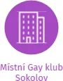 Místní Gay klub Sokolov, IČO: 49767119: vizualizace vztahů osob a společností