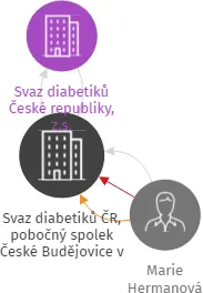 Svaz diabetiků ČR, pobočný spolek České Budějovice v likvidaci, IČO: 60075562: vizualizace vztahů osob a společností