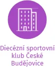 Diecézní sportovní klub České Budějovice, IČO: 60077751: vizualizace vztahů osob a společností