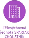 Tělovýchovná jednota SPARTAK CHOUSTNÍK, IČO: 60060859: vizualizace vztahů osob a společností