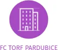 FC TORF PARDUBICE, IČO: 60161701: vizualizace vztahů osob a společností