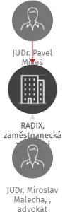 RADIX, zaměstnanecká zdravotní pojišťovna - v likvidaci, IČO: 60792191: vizualizace vztahů osob a společností