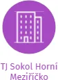 TJ Sokol Horní Meziříčko, IČO: 60818344: vizualizace vztahů osob a společností