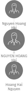 NGUYEN HOANG Hai, IČO: 61308714: vizualizace vztahů osob a společností
