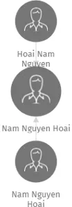 Nam Nguyen Hoai, IČO: 61840432: vizualizace vztahů osob a společností