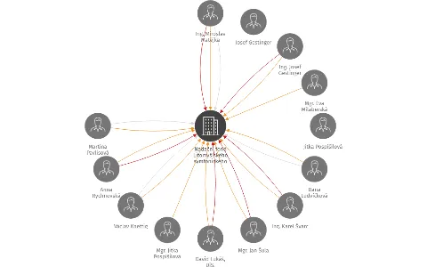 Nadační fond Litomyšlského symfonického orchestru, IČO: 62032241: vizualizace vztahů osob a společností