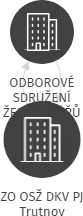 ZO OSŽ DKV PJ Trutnov, IČO: 62048287: vizualizace vztahů osob a společností