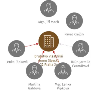 Družstvo vlastníků domu Slezská 25,Praha 3-Vinohrady, v likvidaci, IČO: 62408569: vizualizace vztahů osob a společností