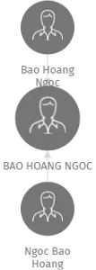 BAO HOANG NGOC, IČO: 62571494: vizualizace vztahů osob a společností