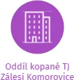 Oddíl kopané TJ Zálesí Komorovice, IČO: 63257491: vizualizace vztahů osob a společností