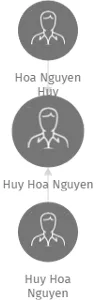 Huy Hoa Nguyen, IČO: 63351871: vizualizace vztahů osob a společností