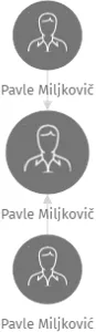Pavle Miljkovič, IČO: 63854643: vizualizace vztahů osob a společností