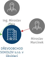 Vizualizace vztahů osob a společností - DŘEVOOBCHOD SOKOLOV s.r.o. v likvidaci