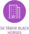 SK TÁBOR BLACK HORSES, IČO: 65018478: vizualizace vztahů osob a společností