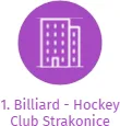 1. Billiard - Hockey Club Strakonice, IČO: 65029593: vizualizace vztahů osob a společností