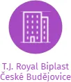 T.J. Royal Biplast České Budějovice, IČO: 65051220: vizualizace vztahů osob a společností