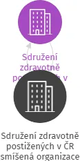 Sdružení zdravotně postižených v ČR smíšená organizace, IČO: 65010329: vizualizace vztahů osob a společností