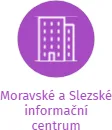 Moravské a Slezské informační centrum, IČO: 65348338: vizualizace vztahů osob a společností