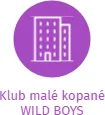 Klub malé kopané WILD BOYS, IČO: 65349245: vizualizace vztahů osob a společností