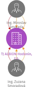 TJ ALBION Hodonín, z.s., IČO: 65370091: vizualizace vztahů osob a společností