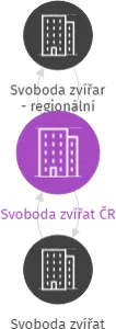 Svoboda zvířat ČR, IČO: 65991940: vizualizace vztahů osob a společností