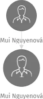 Mui Nguyenová, IČO: 66637261: vizualizace vztahů osob a společností